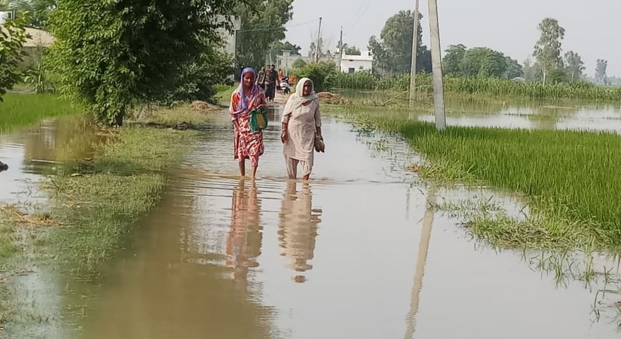 After Punjab Under, Sway Pakistani Village, Sutlej