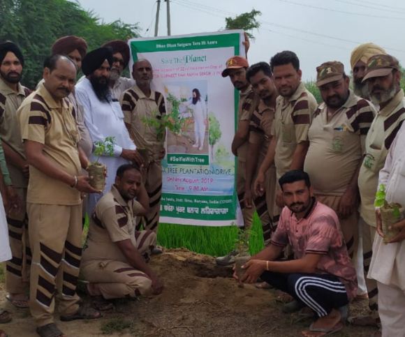 Tree plantation