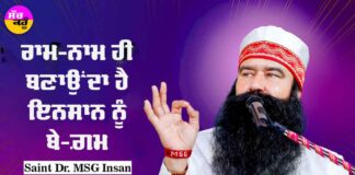 Saint Dr MSG