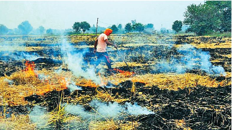 Punjab, Government, Releases , Rs. 19 crore , non-Straw, Farmers