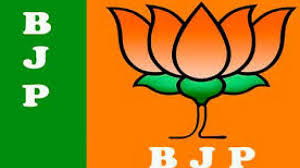BJP,  District, Elections, Show up only