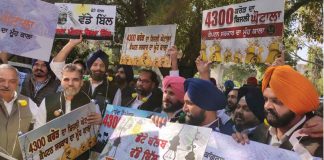 Akali Dal, Protest, Electricity, Issue