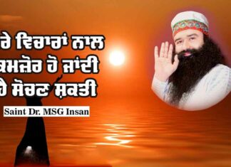 Saint Dr MSG