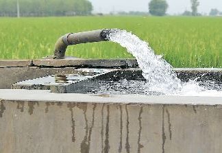 Punjab Farmer