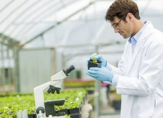 Career Agri-biotech