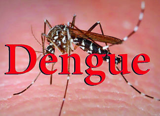 Dengue