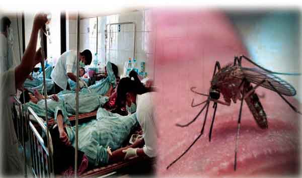 Dengue Fever Sachkahoon