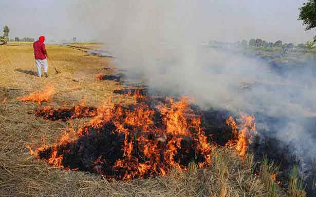 Paddy Residues Sachkahoon