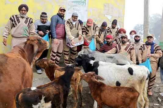 Dera Sacha Sauda Sachkahoon