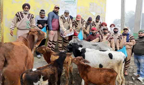 Dera Sacha Sauda Sachkahoon