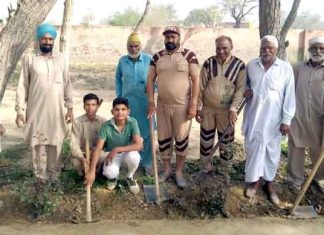 Tree Plantation Sachkahoon