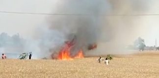 Wheat Caught Fire Sachkahoon
