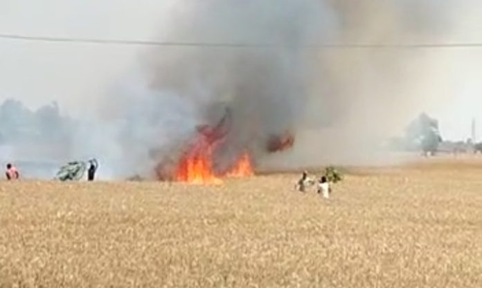 Wheat Caught Fire Sachkahoon