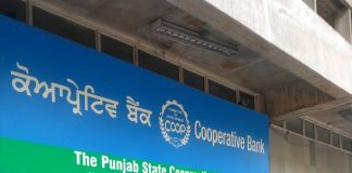cooperative banks punjab