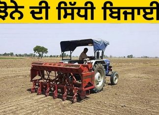 Direct Sowing Sachkahoon