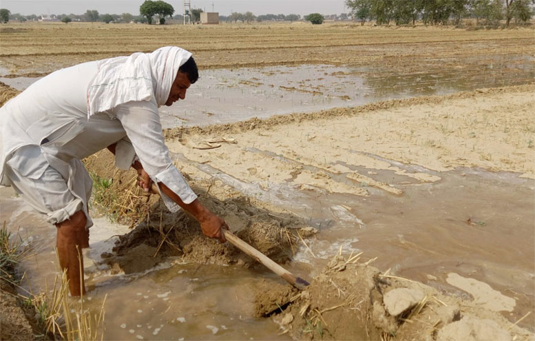 Farming Crisis Sachkahoon