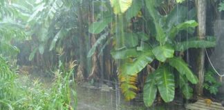 Monsoon Sackahoon