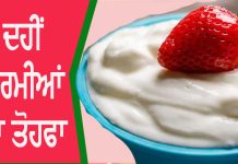 Benefits Of Yogurt