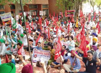 insaf rally