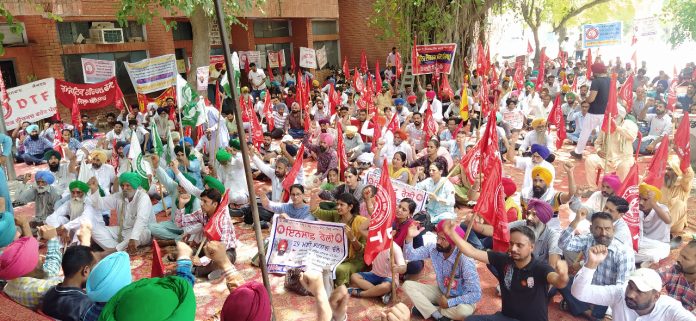 insaf rally