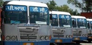 Punjab buses