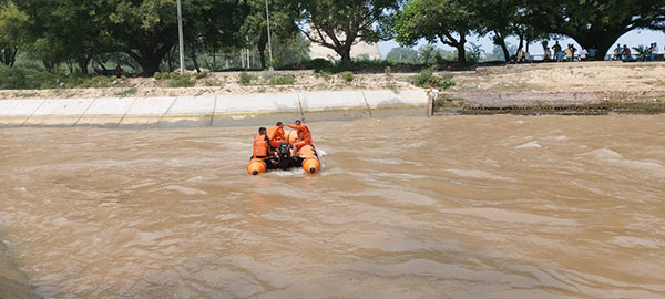 ndfr, Ganesh Visarjan