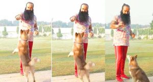 Saint Dr. MSG