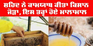 Success Story of Farmer