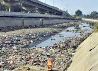 Garbage in the Canals