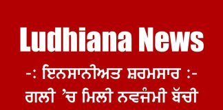 Ludhiana News