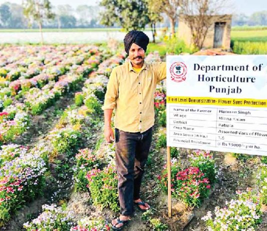 Flower Farming