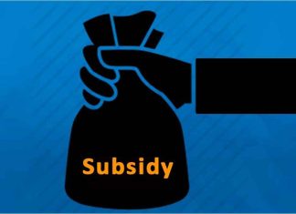 Government Subsidy