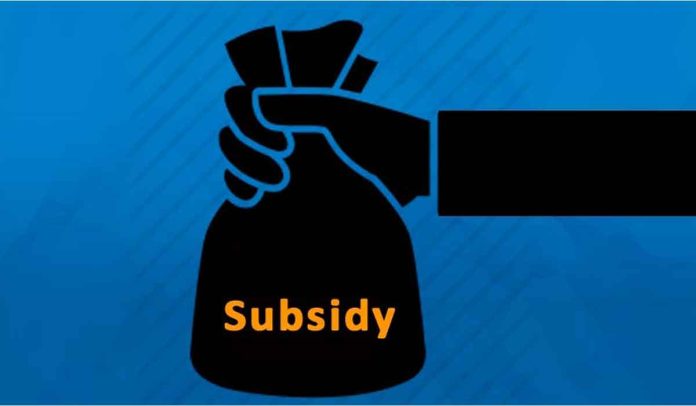 Government Subsidy