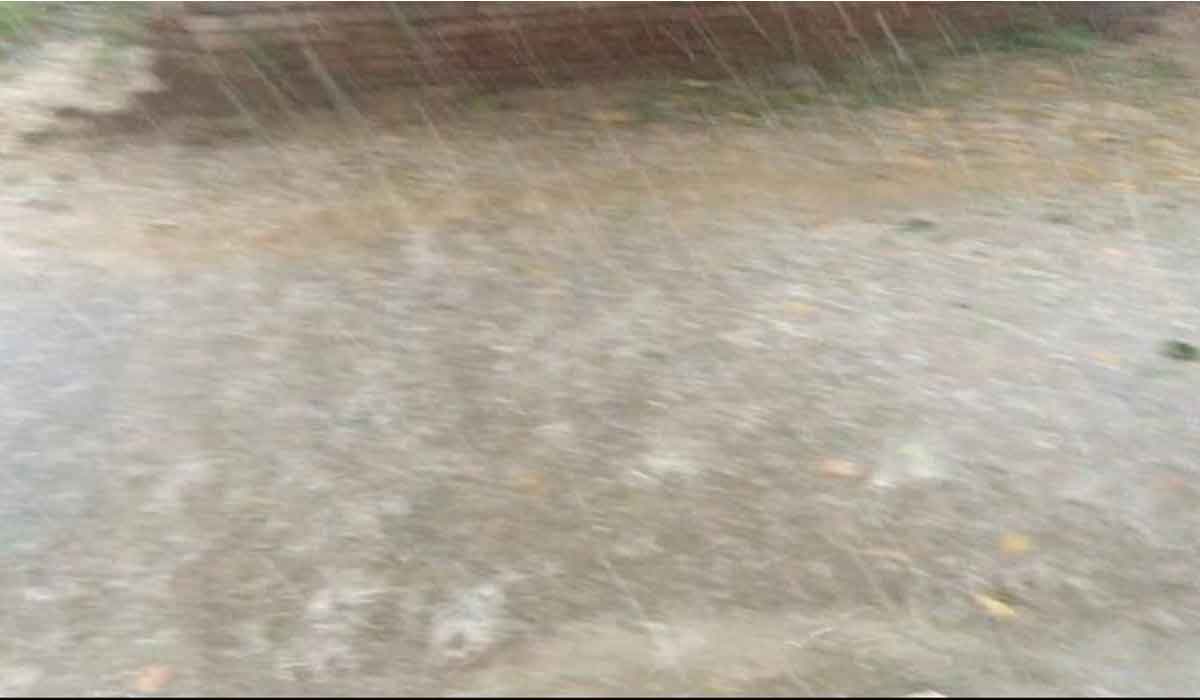 Heavy rain in Patiala