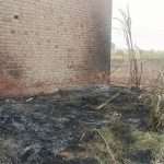 Stubble Burning