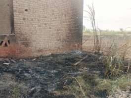 Stubble Burning
