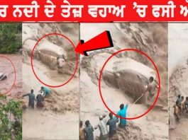 Monsoon Update