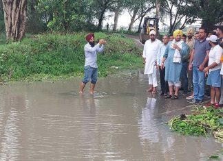 MLA Dev Mann