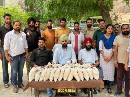 Fazilka News