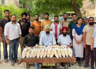 Fazilka News