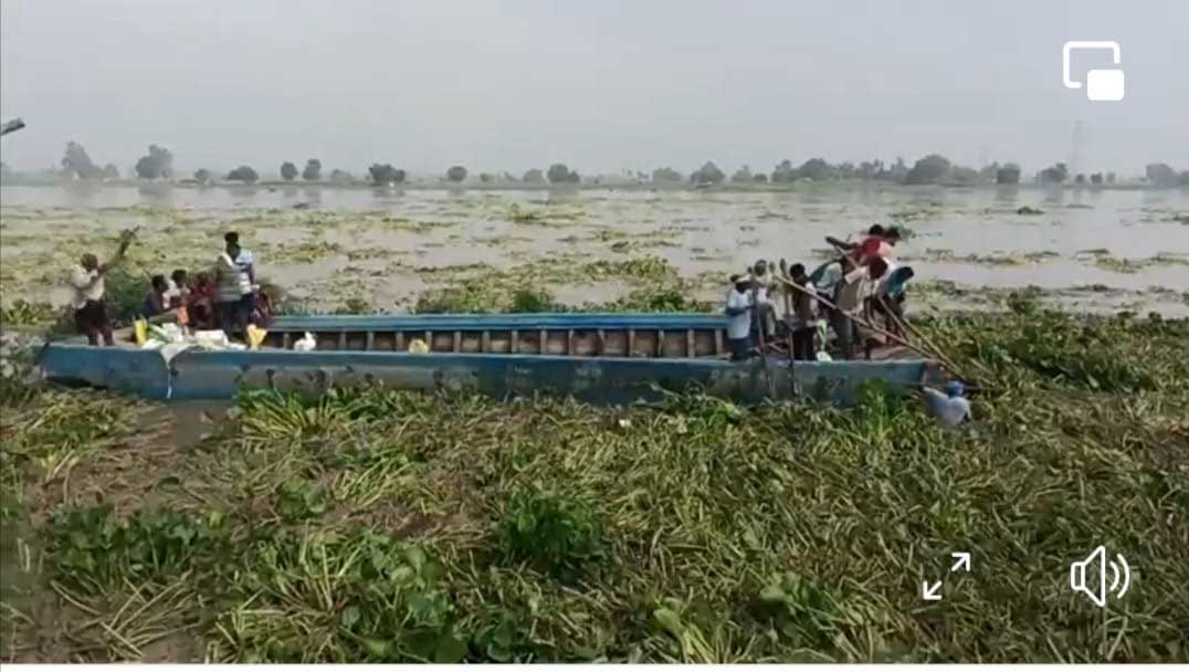 Satluj in Ferozepur