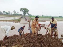 Flood Rescue Operation