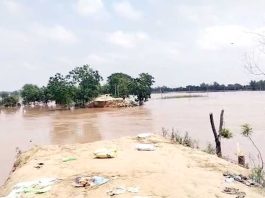 Ghaggar River
