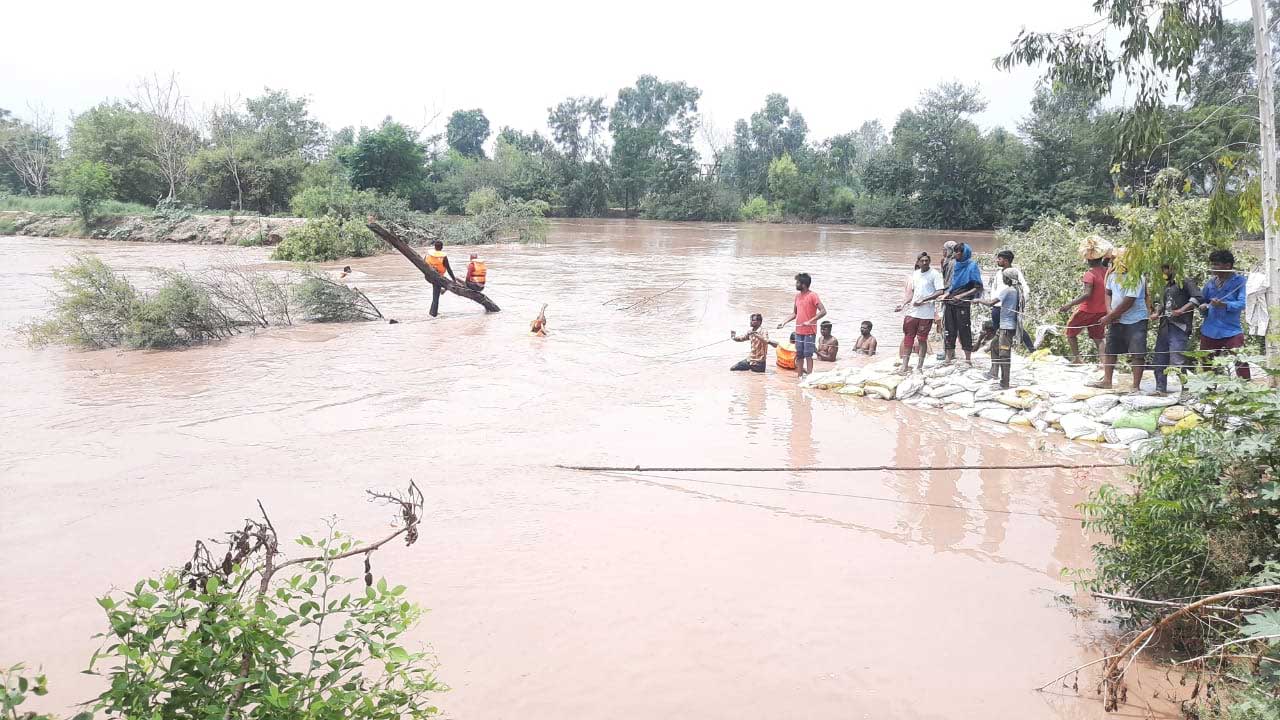 Ghaggar River