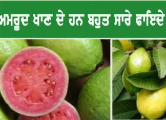Health Benefits of Eating Guava