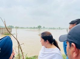 Malukpura Canal