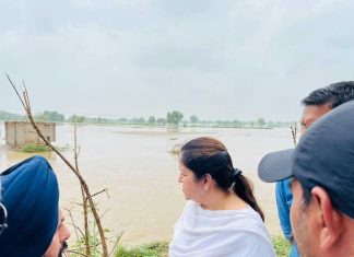 Malukpura Canal