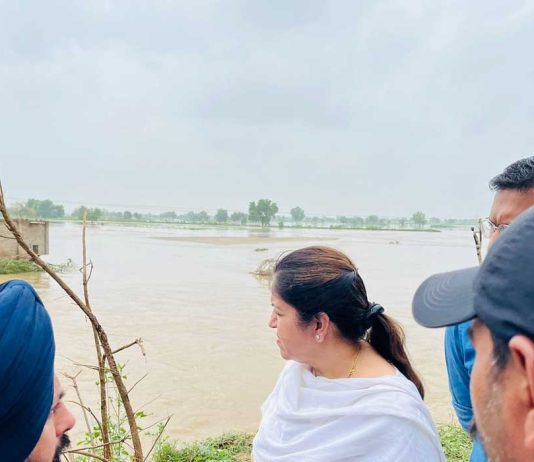 Malukpura Canal