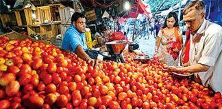 Tomato Price