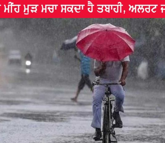 IMD Update